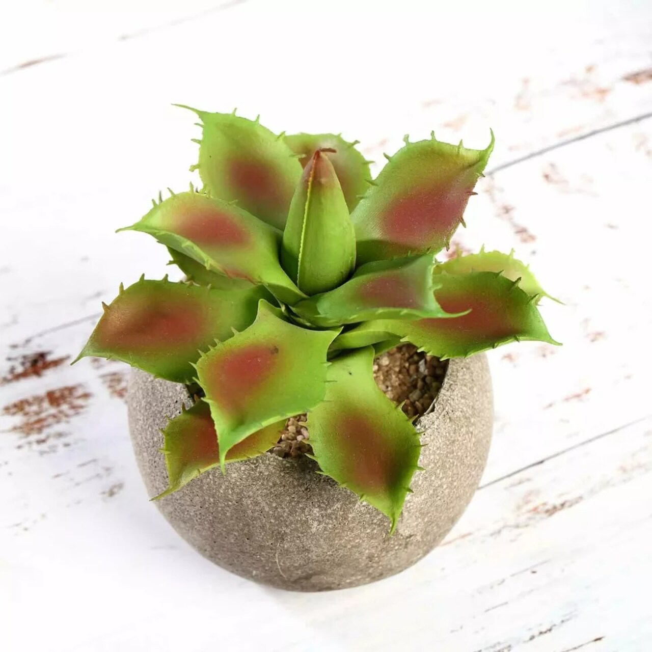 Green 3 Assorted 5" Faux Home Garden Aloe Succulent Plants Round Pots